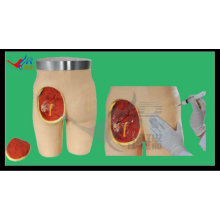 HR/HS10C Advanced buttocks intramuscular injection simulator, buttocks injection model